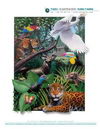 Ilustración fauna